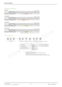 SLC-22MG3F Datasheet Pagina 2