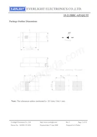 19-21/BHC-AP1Q2/3T數據表 頁面 2