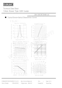 204-10SURC/S400-A6 Datenblatt Seite 4