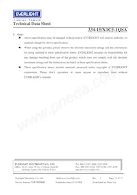 334-15/X1C5-1QSA Datenblatt Seite 12