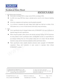 424/X1C9-1GKA Datasheet Pagina 12