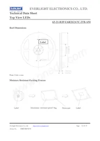 65-21-B3P-U6R2S2A7C-2T8-AM Datenblatt Seite 12