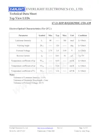 67-21-B3P-B3Q2R2M0C-2T8-AM Datasheet Page 3