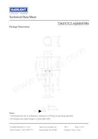 7343-Y7C2-AQSB-P-MS Datasheet Pagina 2