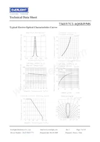 7343-Y7C2-AQSB-P-MS Datenblatt Seite 5