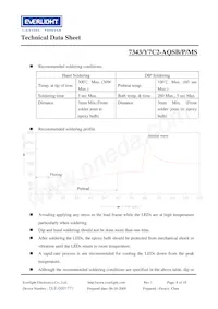 7343-Y7C2-AQSB-P-MS Datasheet Pagina 8