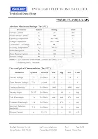 7383-B1C3-AMQA-MS Datasheet Page 3