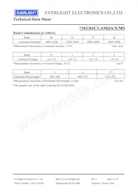 7383-B1C3-AMQA-MS Datasheet Page 4