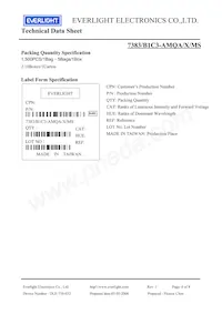 7383-B1C3-AMQA-MS Datasheet Page 6