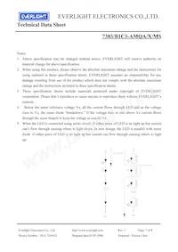 7383-B1C3-AMQA-MS Datasheet Page 7