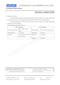 7383-B1C3-AMQA-MS Datasheet Page 8