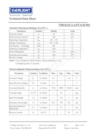 7383-G1C3-ATVA-MS Datasheet Page 3