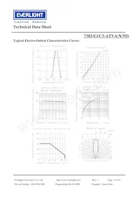 7383-G1C3-ATVA-MS Datasheet Page 5