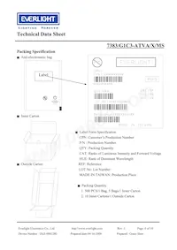 7383-G1C3-ATVA-MS Datasheet Pagina 6