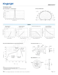 AM23CGCK-F Datasheet Page 3