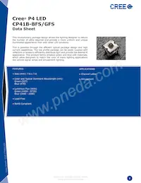 CP41B-GFS-CL0N0784 Datasheet Cover