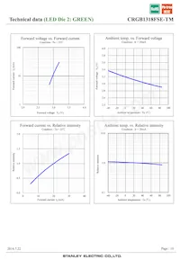 CRGB1318FSE-TM Datasheet Page 10