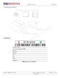 QBLP631-S Datasheet Pagina 12