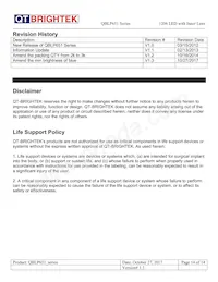 QBLP651-IW Datasheet Page 14