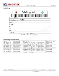 QBLP655R-IG Datasheet Page 12