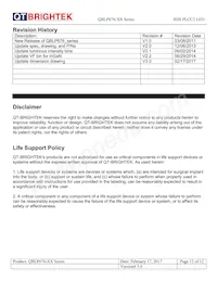 QBLP676-Y Datasheet Page 12
