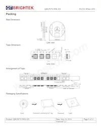 QBLP679-IWK-WW Datasheet Pagina 9