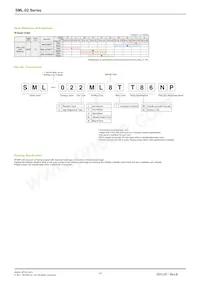 SML-020MVTT87 Datasheet Page 3