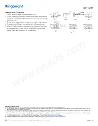 WP113EDT Datasheet Pagina 5