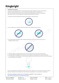 AAAF5060BRGS-11 Datasheet Page 2