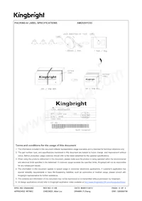 AM2520YC03 Datasheet Pagina 5