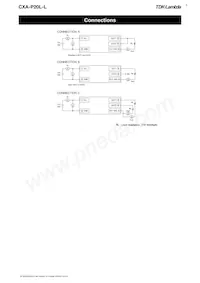 CXA-P20L-L Datasheet Page 3
