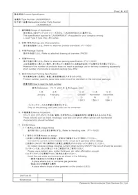 LNJ806R58UX Datasheet Pagina 4