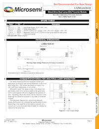 LXMG1620-01 Datasheet Pagina 3