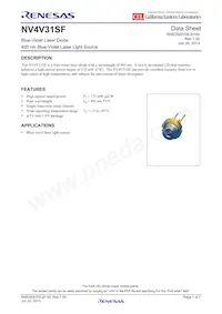 NV4V31SF-A Datasheet Cover