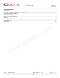 QBLP613-RIG Datasheet Page 2