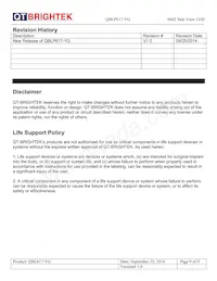 QBLP617-YG Datasheet Pagina 9