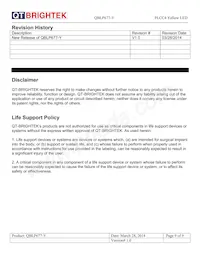 QBLP677-Y Datasheet Pagina 9