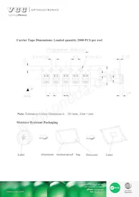 VAOL-S12RP4 Datasheet Pagina 5