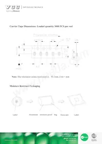 VAOL-S6YP4 Datasheet Page 6