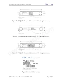 FTLQ1381N7NL Datasheet Pagina 12