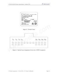 FTLQ8181EBLM Datasheet Pagina 10