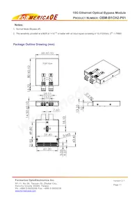 OBM-B1CH2-P01 Datasheet Pagina 11