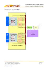 OBM-B1CH4-P01 Datenblatt Seite 3