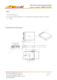 OBM-B1CH4-P01 Datasheet Pagina 11