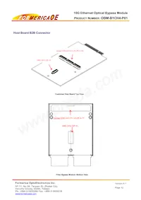 OBM-B1CH4-P01 Datasheet Page 12