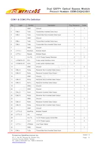 OBM-D3DH2-F01 Datasheet Pagina 8