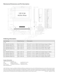 OS128064PK10MW1B10 Datasheet Page 2