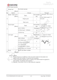 TVL-55736GD032JR-LW-G-AAN Datasheet Pagina 20