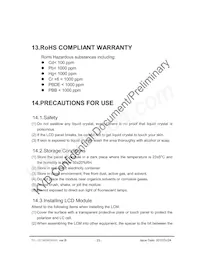 TVL-55738GD032J-LW-G-AAN Datasheet Page 23