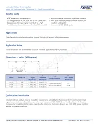 C410C104K5R5TA91707200 Datasheet Page 2